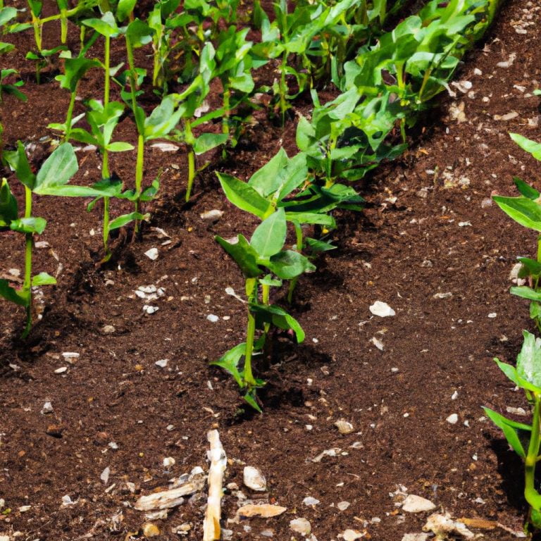 Understanding Indigenous Regenerative Agriculture: A Comprehensive Guide