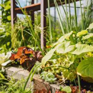 Permaculture & Regenerative Agriculture: Sustainable Farming Guide