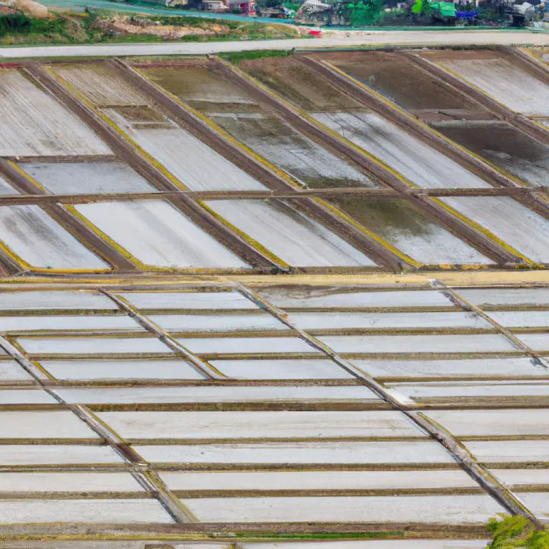 Agriculture in Japan: Traditions, Techniques, and Trends