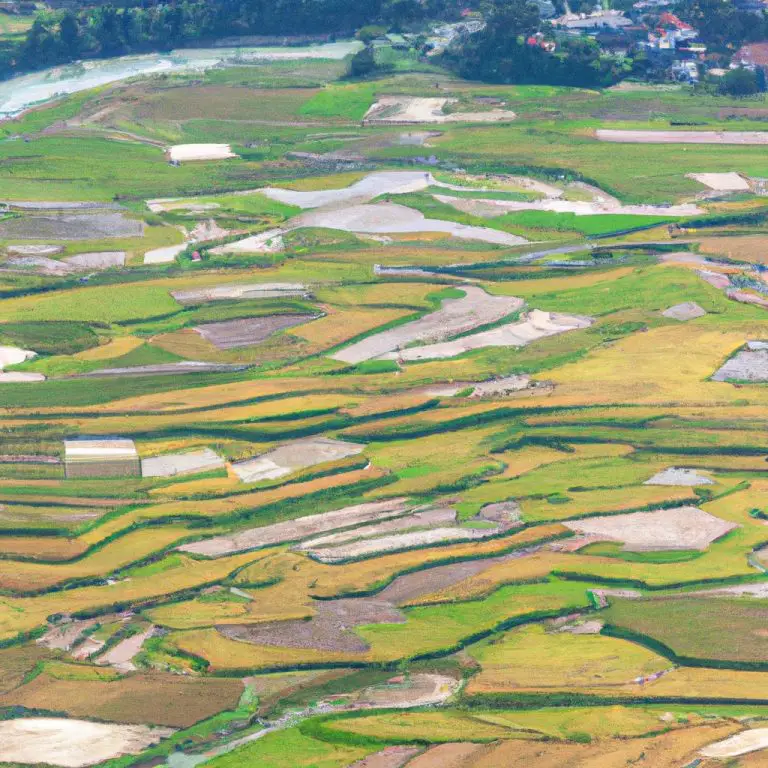 Agriculture In Vietnam Sowing The Seeds Of Sustainability