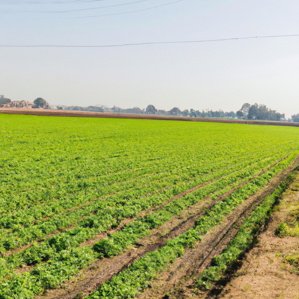 egypts farming unveiling ancient techniques and modern innovations