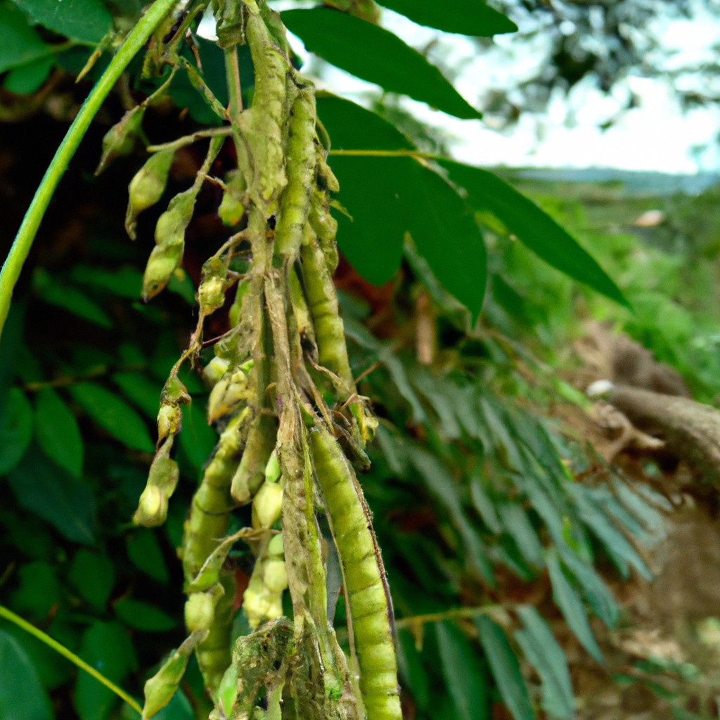 How to Say Agriculture without Sounding Corny