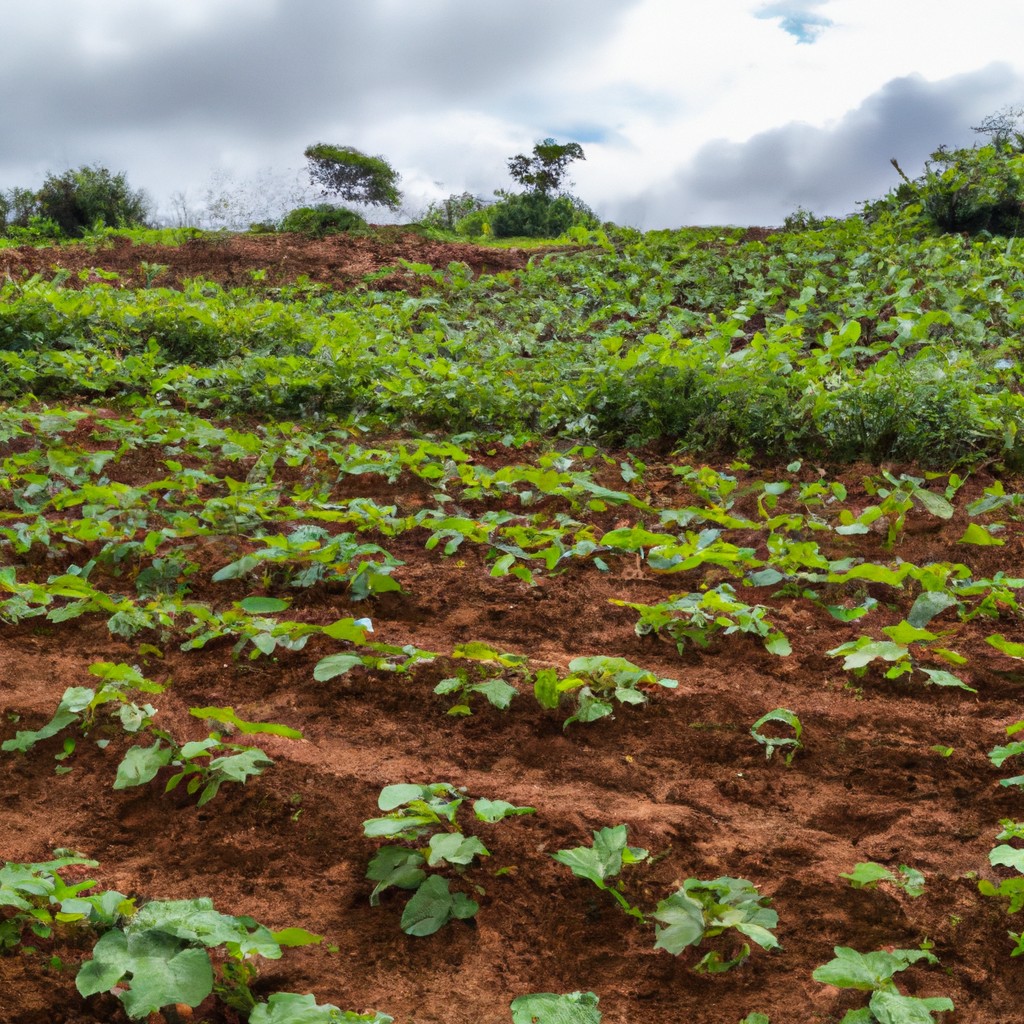 agriculture in brazil secrets to sustainable success