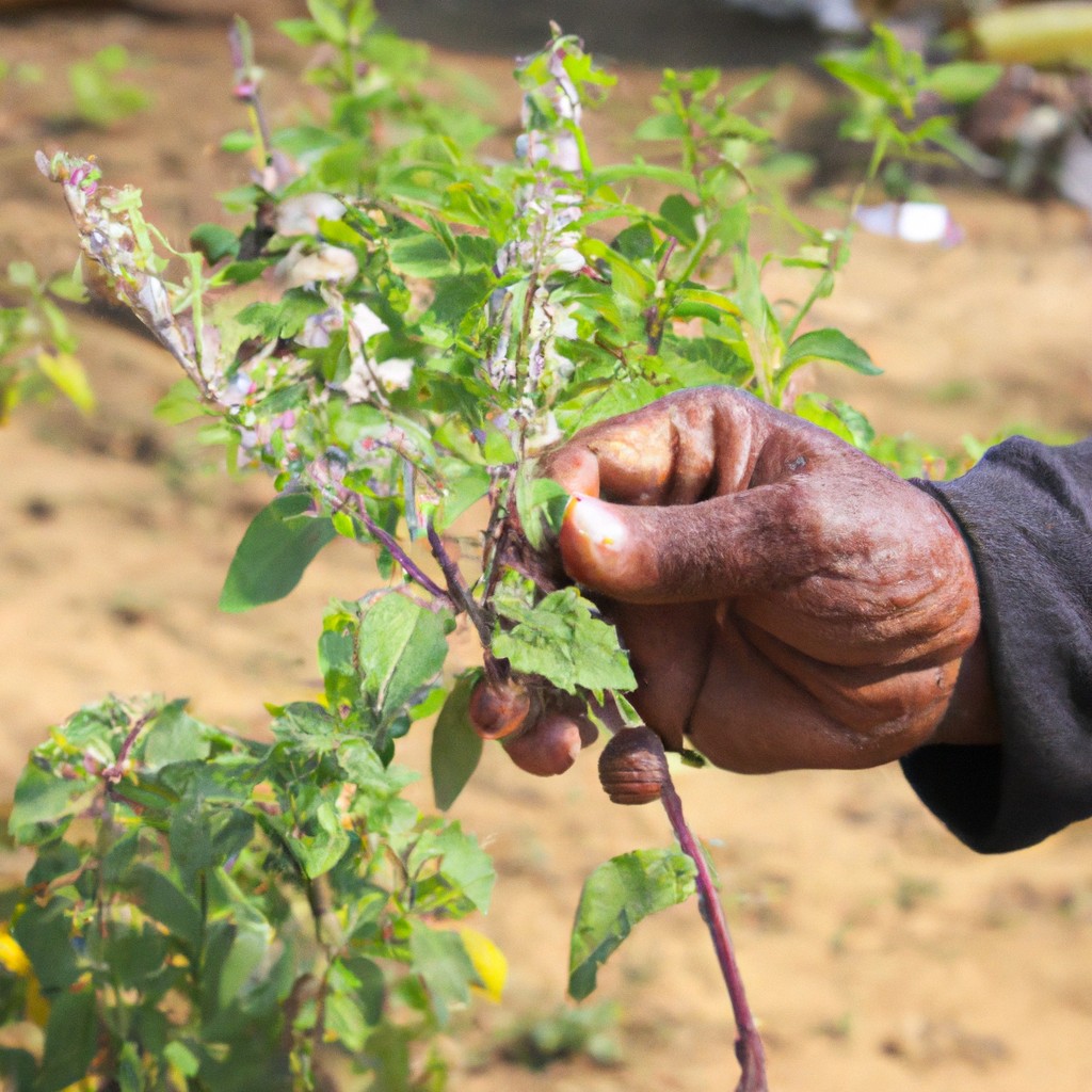 Sustainable Agriculture Jobs: Sprout Your Green Career